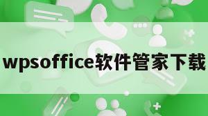wpsoffice软件管家下载