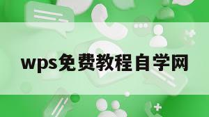 wps免费教程自学网